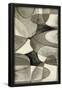 Essential Black