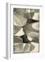 White Frame