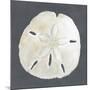 Wood Mount