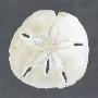 Just the Print