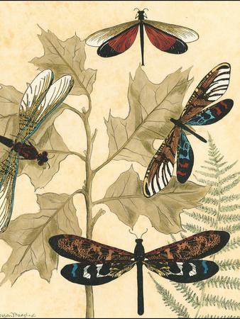 Small Graphic Dragonflies I