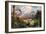 Meganeura in Upper Carboniferous Landscape-Science Source-Framed Giclee Print