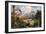 Meganeura in Upper Carboniferous Landscape-Science Source-Framed Giclee Print