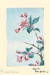 Tsutsuji Rhododendron Judicum-Azalea-Megata Morikaga-Art Print