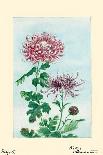 Tsutsuji Rhododendron Judicum-Azalea-Megata Morikaga-Art Print