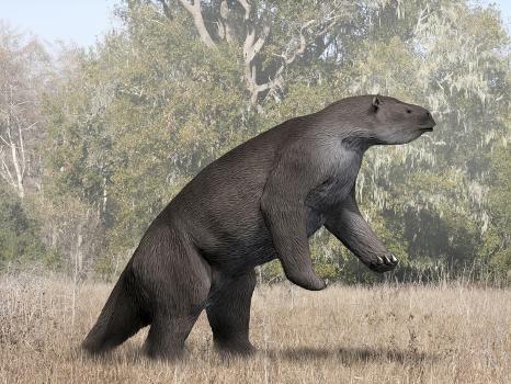 Megatherium Animal from the Pleistocene Epoch of South America' Prints - Stocktrek Images Megatherium Animal from the Pleistocene Epoch of South America' Prints - Stocktrek Images