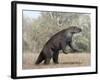 Megatherium Animal from the Pleistocene Epoch of South America-Stocktrek Images-Framed Art Print