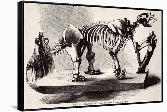 Megatherium Skeleton at the British Museum-null-Framed Stretched Canvas