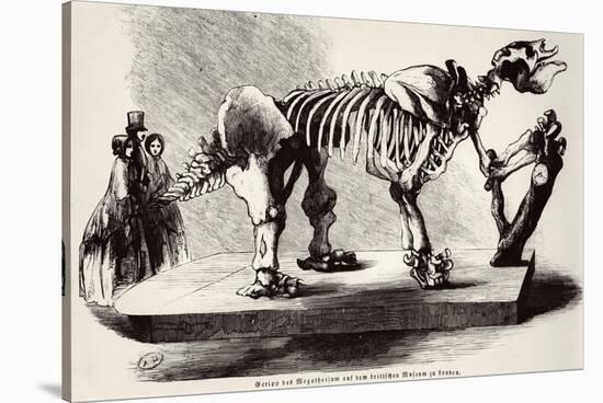 Megatherium Skeleton at the British Museum-null-Stretched Canvas