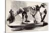 Megatherium Skeleton at the British Museum-null-Stretched Canvas