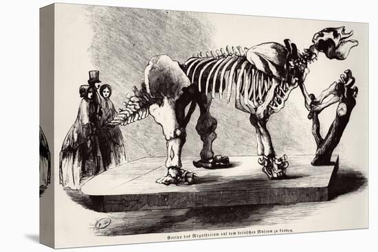 Megatherium Skeleton at the British Museum-null-Stretched Canvas