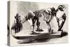 Megatherium Skeleton at the British Museum-null-Stretched Canvas