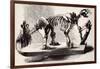 Megatherium Skeleton at the British Museum-null-Framed Giclee Print