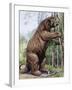 Megatherium-null-Framed Photographic Print