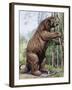 Megatherium-null-Framed Photographic Print