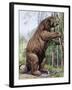 Megatherium-null-Framed Photographic Print