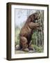 Megatherium-null-Framed Photographic Print