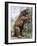 Megatherium-null-Framed Photographic Print