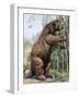 Megatherium-null-Framed Photographic Print