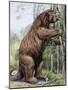 Megatherium-null-Mounted Photographic Print