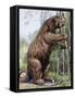 Megatherium-null-Framed Stretched Canvas
