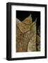 Megophrys Nasuta (Malayan Horned Frog, Long-Nosed Horned Frog, Malayan Leaf Frog)-Paul Starosta-Framed Photographic Print