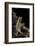 Megophrys Nasuta (Malayan Horned Frog, Long-Nosed Horned Frog, Malayan Leaf Frog)-Paul Starosta-Framed Photographic Print