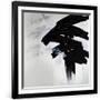 Gramercy Black