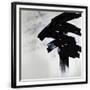 Chelsea Black
