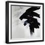 Black Frame