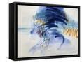 Framed Canvas