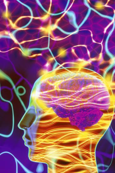 Photographic Print, , large