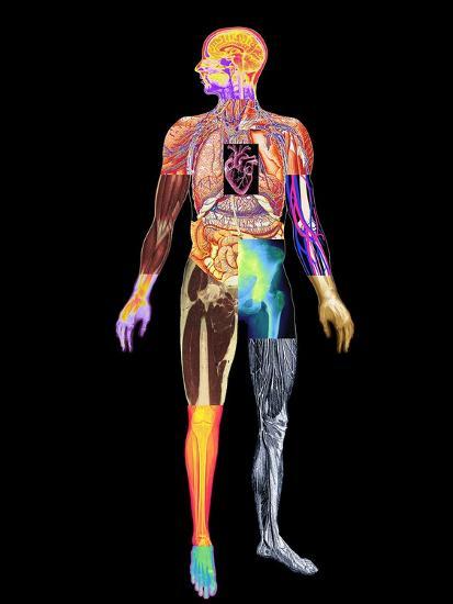 Photographic Print, , large