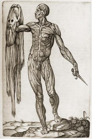 Man Holding a Dagger And His Skin