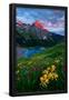 Essential Black