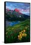 Canvas Black