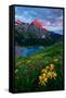 Canvas Black