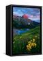 Canvas Black