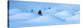 Stretched Canvas