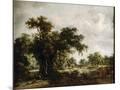 Wood Mount