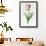 Meissner Porsellan' Tulip-Sally Crosthwaite-Framed Giclee Print displayed on a wall