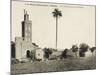 Meknes, Morocco - Mosque Close to the Mellah Gate-null-Mounted Photographic Print