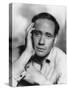 Mel Ferrer (B191), Cuban-American Film Actor, Producer and Director, 1950S-null-Stretched Canvas