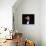 Mel Torme-null-Photo displayed on a wall