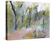 Melaleuca Clearing, Loftus-Ann Gordon-Stretched Canvas