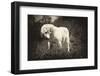 Melancholia-Joe Conroy-Framed Photographic Print