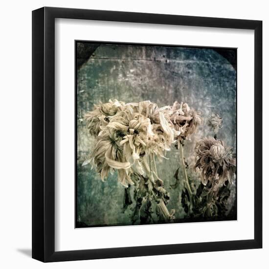 Melancholy Flower 3-Jean-François Dupuis-Framed Art Print