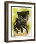 Melancholy-Barbara Keith-Framed Premium Giclee Print