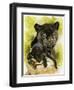 Melancholy-Barbara Keith-Framed Premium Giclee Print