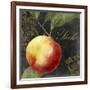 Melange III-Color Bakery-Framed Giclee Print